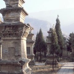 Shaolin - 8 - Ouverture dans une nouvelle fenêtre 