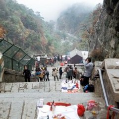 Taishan - 13 - New window