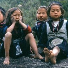 Sapa - 8 - Ouverture dans une nouvelle fenêtre 
