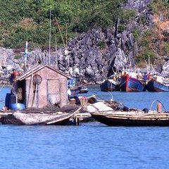 Baie d'Along - 17 - Ouverture dans une nouvelle fenêtre 