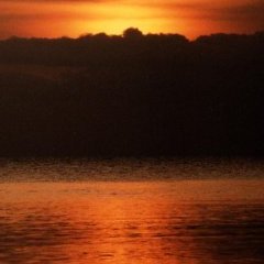 Le soleil - 14 - Ouverture dans une nouvelle fenêtre 